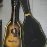 485 6570 Gitarr